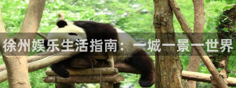 天顺娱乐现在优惠多少：徐州娱乐生活指南：一城一景一世界
