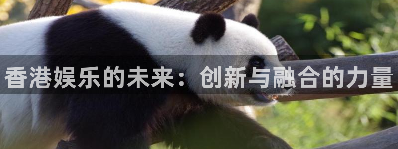 天顺娱乐注册：香港娱乐的未来：创新与融合的力量