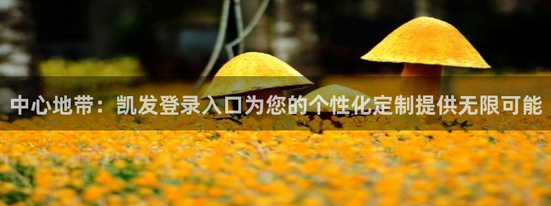 天顺娱乐平台开户链接：中心地带：凯发登录入口为您的个性化定制提供无限可能