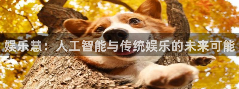 上海天顺娱乐汽车电子有限公司：娱乐慧：人工智能与传统娱乐的未来可能