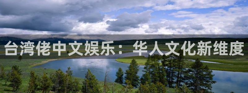 上海天顺娱乐汽车电子有限公司：台湾佬中文娱乐：华人文化新维度