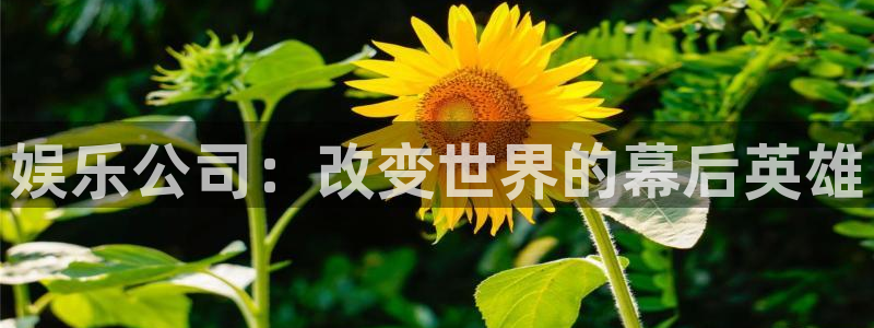 天顺娱乐5：娱乐公司：改变世界的幕后英雄