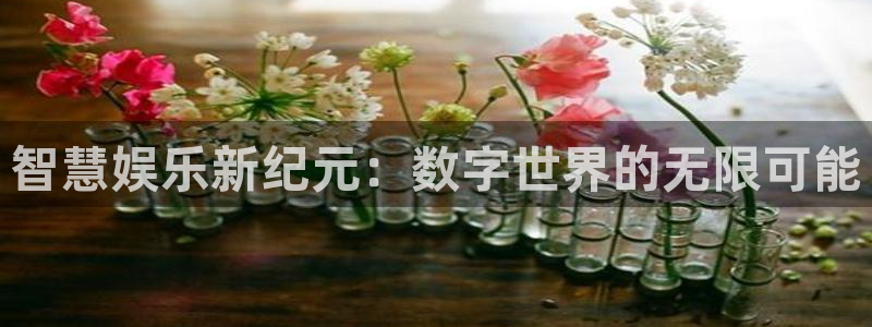 天顺娱乐体育老板是谁：智慧娱乐新纪元：数字世界的无限可能