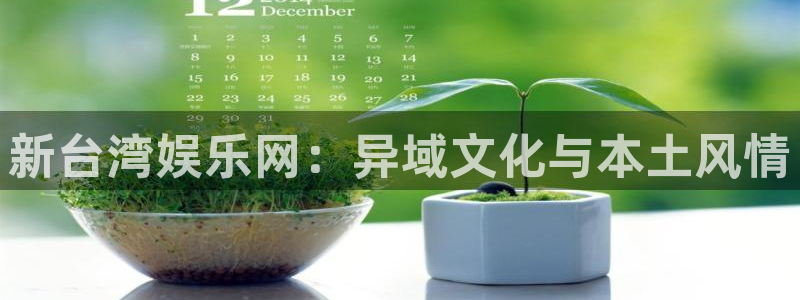 天顺娱乐体育平台登录入口：新台湾娱乐网：异域文化与本土风情