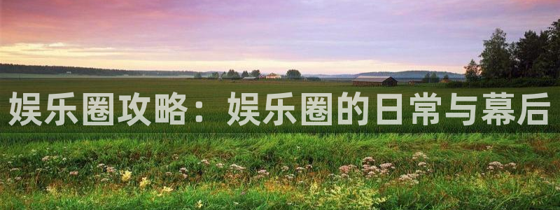 天顺娱乐5注册：娱乐圈攻略：娱乐圈的日常与幕后