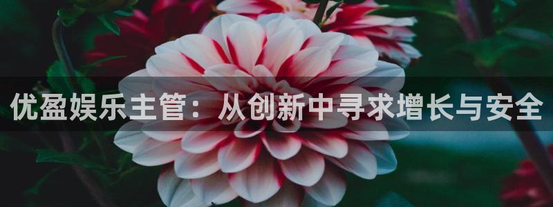 天顺娱乐凯捷平台注册链接：优盈娱乐主管：从创新中寻求增长与安全