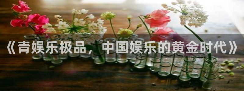 天顺娱乐体育代理申请流程：《青娱乐极品，中国娱乐的黄金时代》