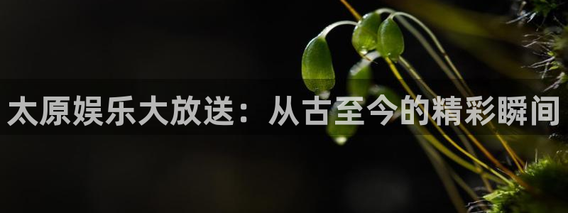 天顺娱乐体育注册登录入口：太原娱乐大放送：从古至今的精彩瞬间