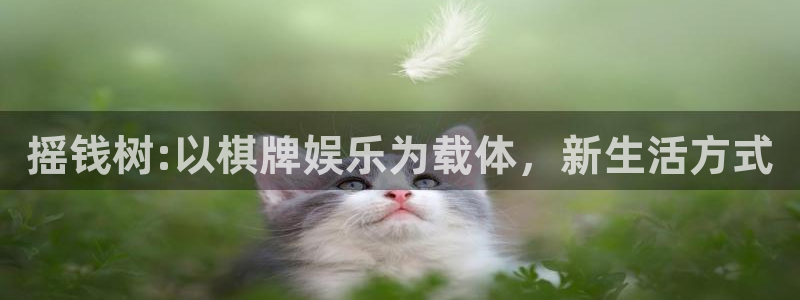 天顺娱乐平台在线注册：摇钱树:以棋牌娱乐为载体，新生活方式