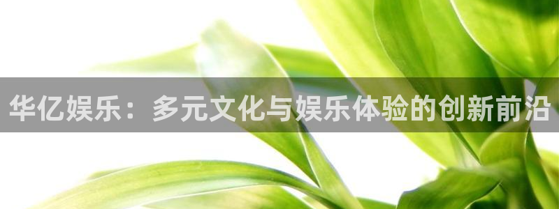 天顺娱乐体育凯捷登陆：华亿娱乐：多元文化与娱乐体验的创新前沿
