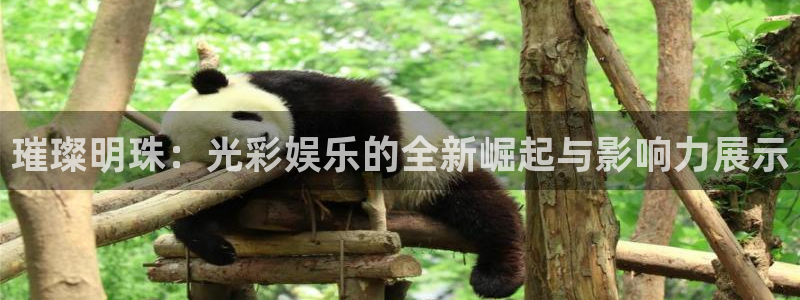 天顺娱乐5注册：璀璨明珠：光彩娱乐的全新崛起与影响力展示