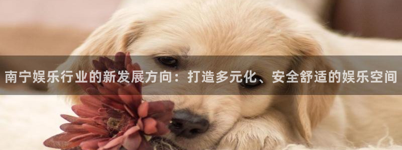 天顺娱乐体育平台总代理：南宁娱乐行业的新发展方向：打造多元化、安全舒适的娱乐空间