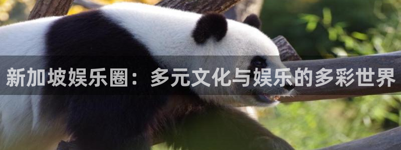 天顺娱乐5招商：新加坡娱乐圈：多元文化与娱乐的多彩世界