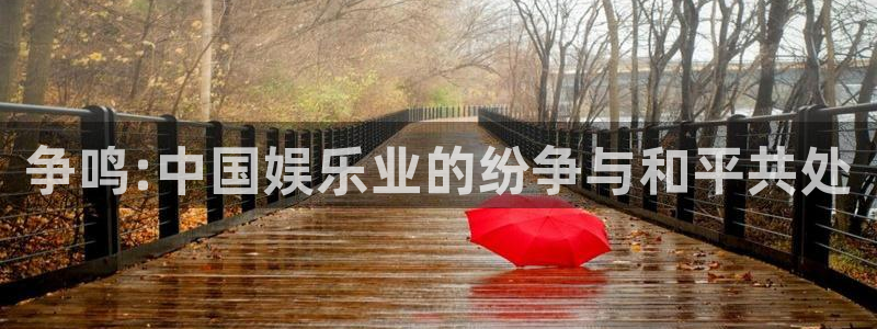 天顺娱乐2体育：争鸣:中国娱乐业的纷争与和平共处