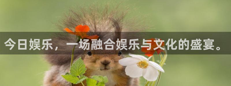 天顺娱乐平台招商：今日娱乐，一场融合娱乐与文化的盛宴。