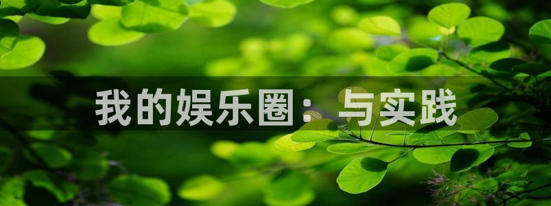 上海天顺娱乐汽车电子有限公司：我的娱乐圈：与实践