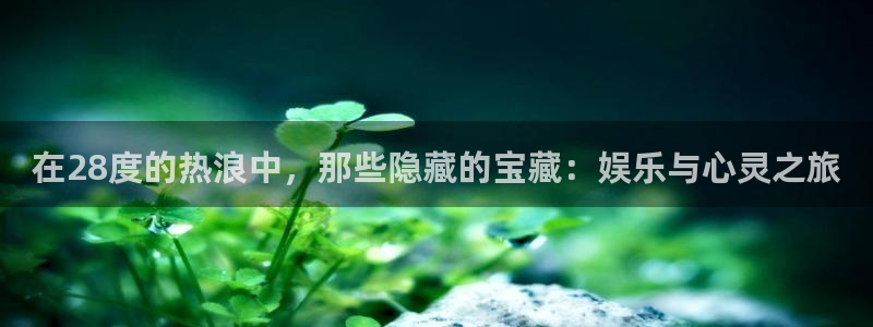 成都天顺娱乐电子有限公司
