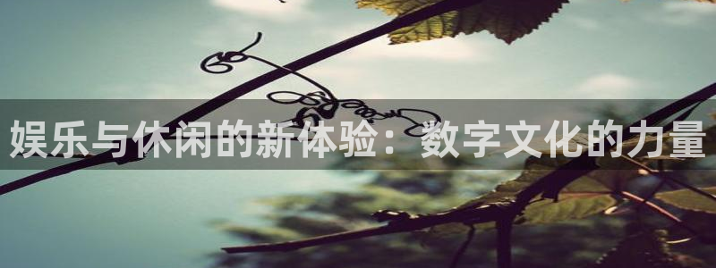 天顺娱乐登录：娱乐与休闲的新体验：数字文化的力量