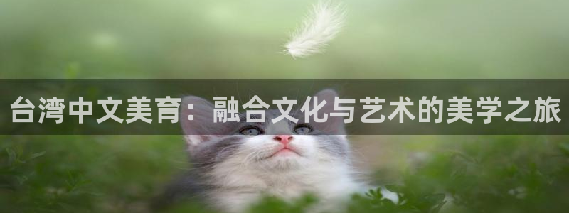 天顺娱乐4开户：台湾中文美育：融合文化与艺术的美学之旅