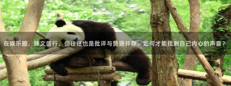 天顺娱乐3：在娱乐圈，辣文盛行，但往往也是批评与赞扬并存，如何才能找到自己内心的
