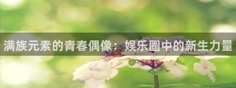 天顺娱乐体育4：满族元素的青春偶像：娱乐圈中的新生力量