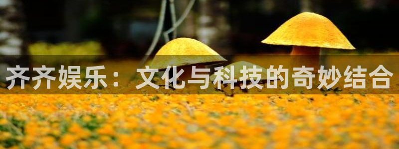 天顺娱乐体育1招商：齐齐娱乐：文化与科技的奇妙结合