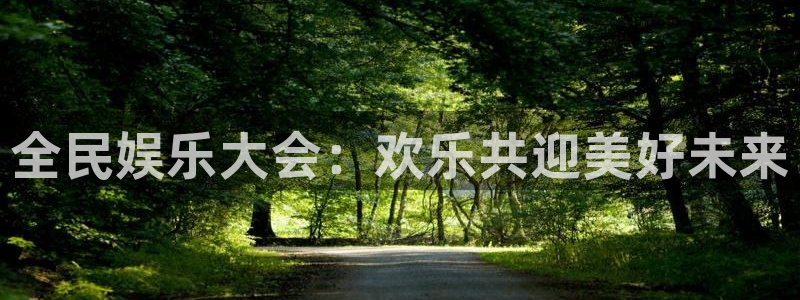 天顺娱乐4代理：全民娱乐大会：欢乐共迎美好未来