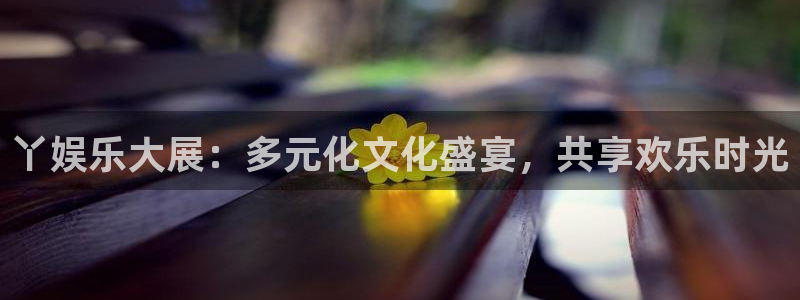 天顺娱乐体育凯捷代理注册：丫娱乐大展：多元化文化盛宴，共享欢乐时光