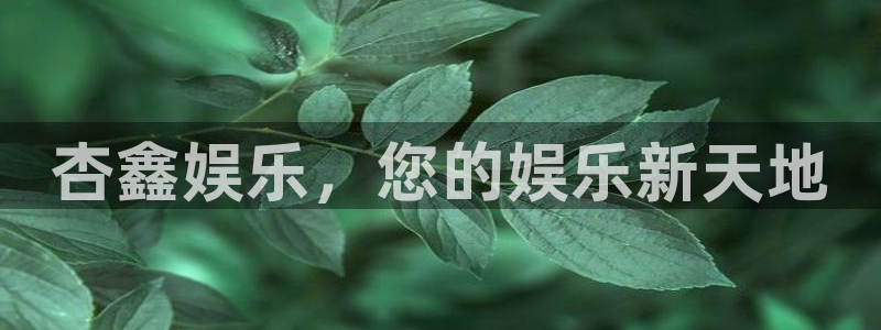 天顺娱乐体育在线注册：杏鑫娱乐，您的娱乐新天地