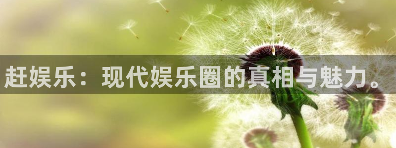 天顺娱乐体育和杏耀是哪个公司的：赶娱乐：现代娱乐圈的真相与魅力。